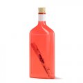 Пластиковая бутылка для морской почты, цвет красный